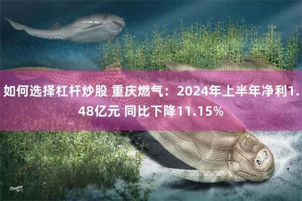 如何选择杠杆炒股 重庆燃气：2024年上半年净利1.48亿元 同比下降11.15%