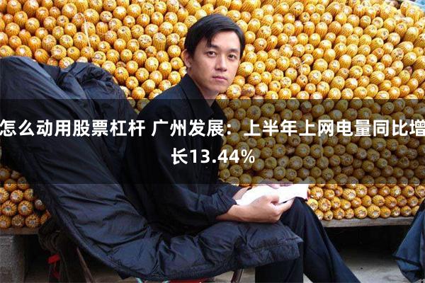 怎么动用股票杠杆 广州发展：上半年上网电量同比增长13.44%