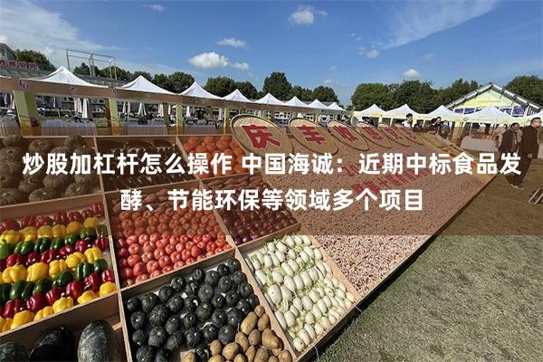 炒股加杠杆怎么操作 中国海诚：近期中标食品发酵、节能环保等领域多个项目