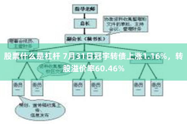 股票什么是杠杆 7月31日冠宇转债上涨1.16%，转股溢价率60.46%