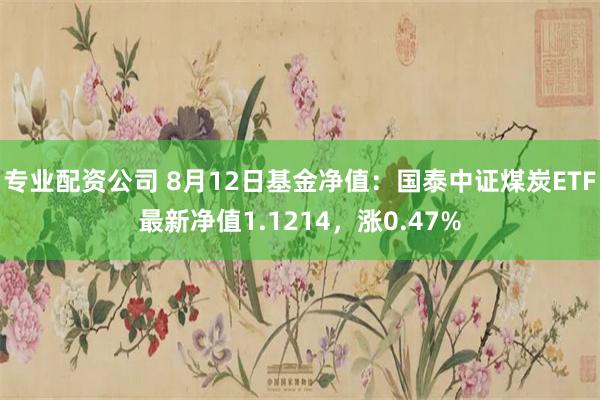 专业配资公司 8月12日基金净值：国泰中证煤炭ETF最新净值1.1214，涨0.47%