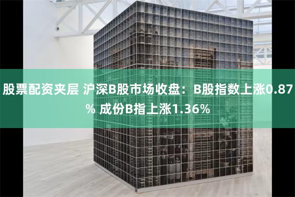 股票配资夹层 沪深B股市场收盘：B股指数上涨0.87% 成份B指上涨1.36%