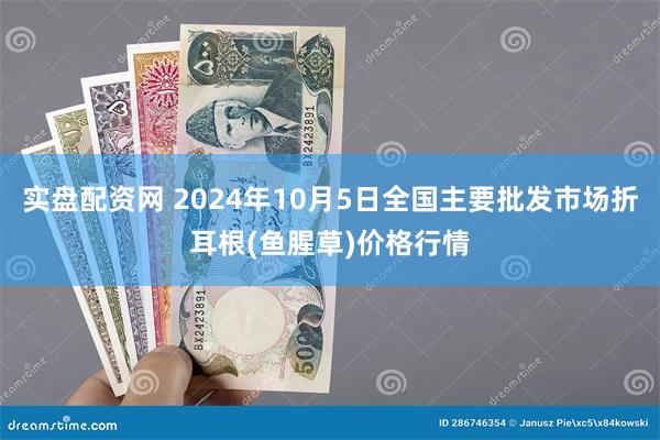 实盘配资网 2024年10月5日全国主要批发市场折耳根(鱼腥草)价格行情