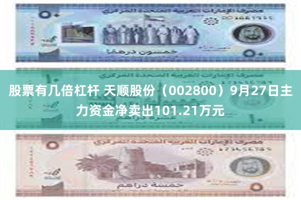 股票有几倍杠杆 天顺股份（002800）9月27日主力资金净卖出101.21万元