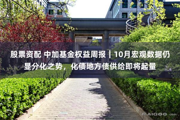 股票资配 中加基金权益周报︱10月宏观数据仍显分化之势，化债地方债供给即将起量