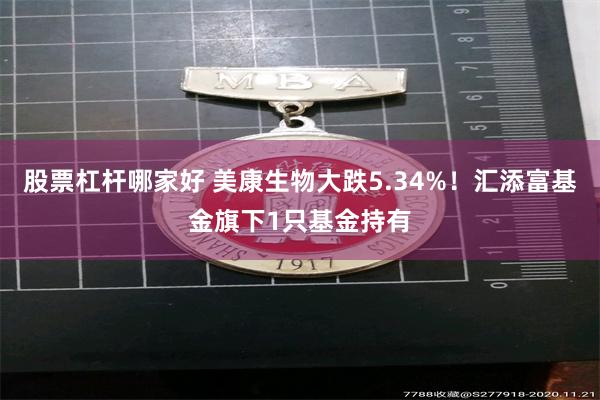 股票杠杆哪家好 美康生物大跌5.34%！汇添富基金旗下1只基金持有