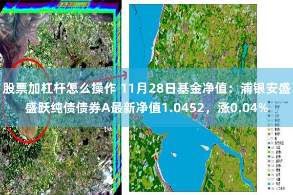 股票加杠杆怎么操作 11月28日基金净值：浦银安盛盛跃纯债债券A最新净值1.0452，涨0.04%