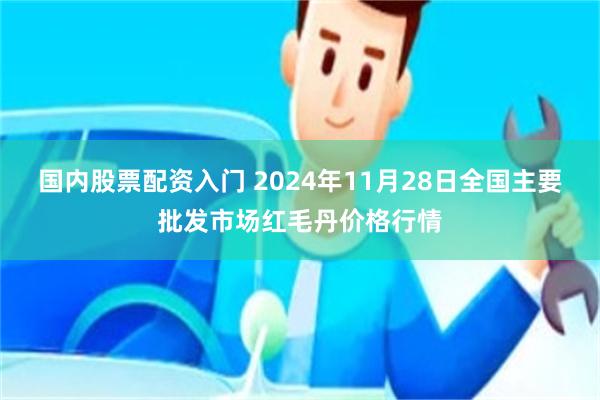 国内股票配资入门 2024年11月28日全国主要批发市场红毛丹价格行情