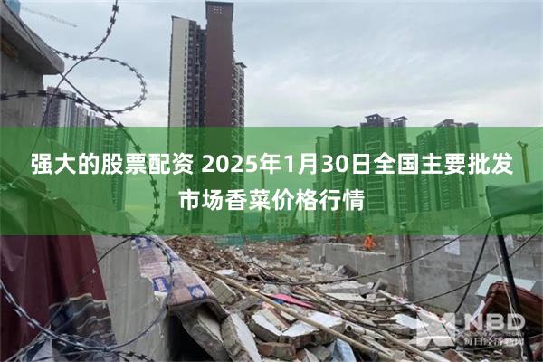 强大的股票配资 2025年1月30日全国主要批发市场香菜价格行情